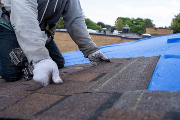 Roof Gutter Cleaning in Sunflower, MS
